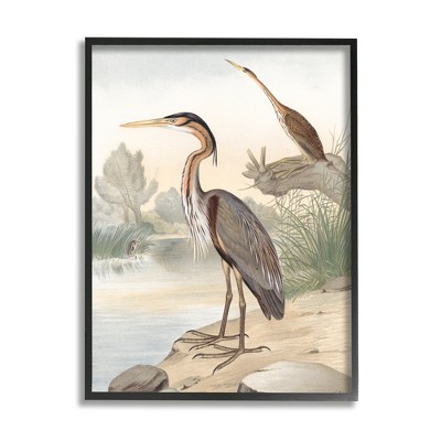 Stupell Industries Wild Heron Birds Perched Scenic Grassy Creek Framed Giclee Art