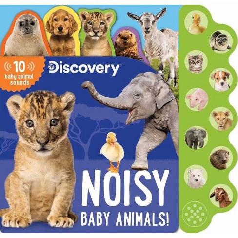 Touch And Feel Baby Animals: Scholastic Early Learners (touch And Feel) -  (board Book) : Target