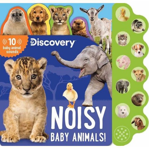 Discovery: Noisy Baby Animals! - (10-button Sound Books) By Thea Feldman  (board Book) : Target