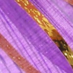 lavender purple