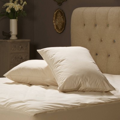 allerease organic pillow