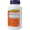 Turmeric Curcumin 450 mg by Now Foods  -  60 Softgel - 2 of 2