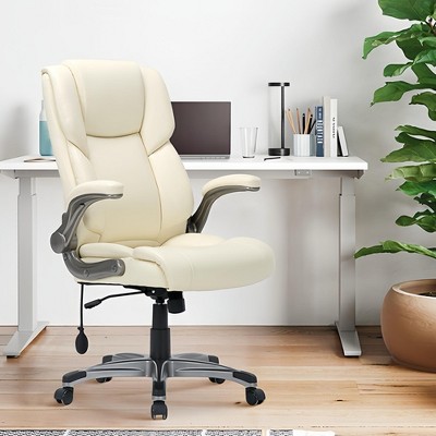 Ergonomic Office Chair 300lbs with Inflatable Lumbar Support