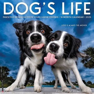 Willow Creek Press Dog's Life 2025 Wall Calendar: Monthly 12x12 Inch Paper, Sewn Binding, All Ages, Blue - 1 of 4