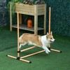 PawHut 6 Piece Dog Agility Training Equipment with Hurdle Bag and Whistle, Orange and White - 2 of 4
