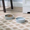 Park Life Designs Pet Bowl | Classic Water (Small, Grey) - 2 of 3