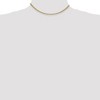 Black Bow Jewelry 2mm, 14k Yellow Gold, Solid Spiga Chain Necklace - 2 of 4