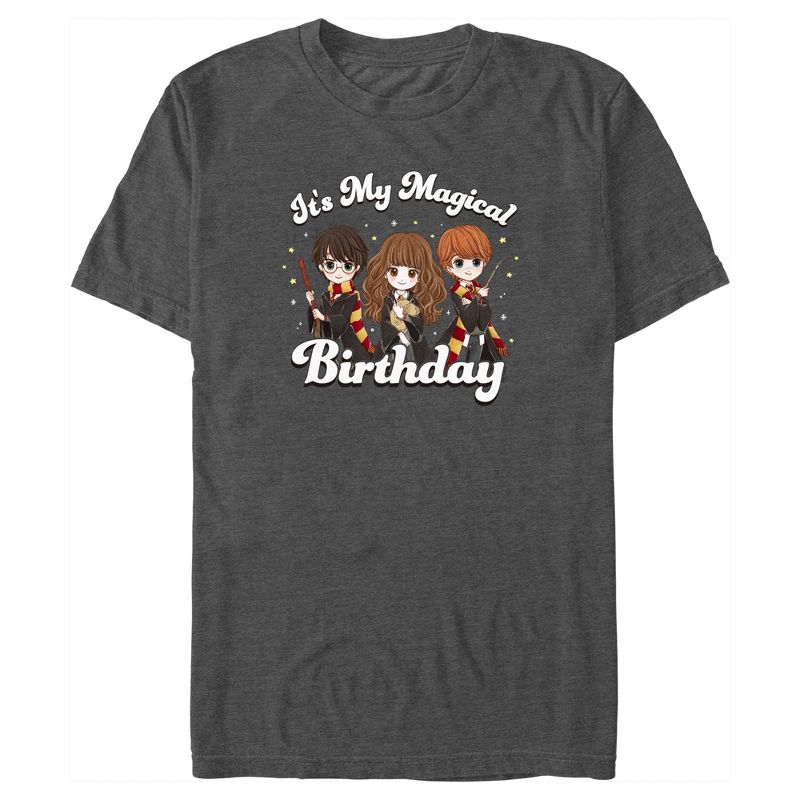 Men's Harry Potter It’s My Magical Birthday Cute Characters T-Shirt, 1 of 6
