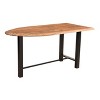 Hill Crest Counter Height Dining Table Brown - Treasure Trove Accents: 36" High, Iron Base, Seats 6 - 2 of 4