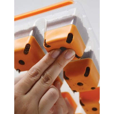 Orange Silicone 8-Cell XL Windowsill Seed Starting Tray