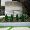 Nearly Natural 2.5-ft UV Resistant Artificial Cedar Plant with Integrated Ground Stake (Indoor/Outdoor) - Set of 2 - 4 of 4