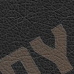 tennessee volunteers