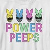 Boy's Power Rangers Easter Power Peeps T-Shirt - 2 of 4