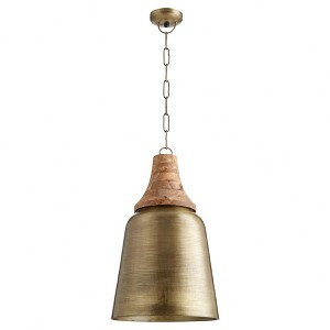 Quorum Lighting 1 - Light Pendant in  Artisans Brass - 1 of 1