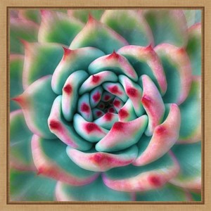 Amanti Art Deep Red Tips by Jan Bell Canvas Wall Art Print Framed 16 x 16-in. - 1 of 4