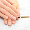 Unique Bargains Large Wide Round Nail Painting Brushes for Home DIY Gold Tone Clear White 1 Pc - 2 of 4
