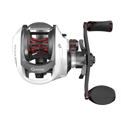quantum accurist pt baitcast reel