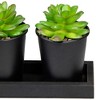 Northlight Set of 3 Mini Artificial Potted Succulents with Wood Planter 5" - image 4 of 4