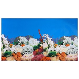Unique Bargains Aquarium Background Poster Double-sided Fish Tank Background Decorative Pictures PVC 1 Pc - 1 of 4