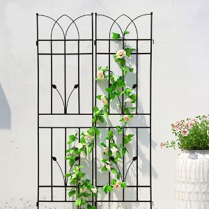 Osparple Plant Support Stakes for Indoor Plants Plant Climbing Support Anti-Rust Garden Trellis Metal for Garden - 1 of 4