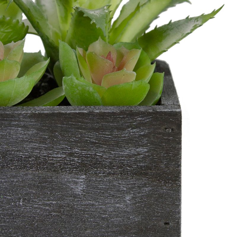 Northlight 10" Artificial Mixed Succulent Plants in a Rectangular Planter, 5 of 6