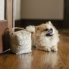 Pavilion Gift Company - Best Dog - 5" x 6" Door Stopper - Door Stops - 2 of 4