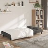 vidaXL 2-Seater Sofa Bed with Two Pillows Dark Gray Velvet - 3 of 4