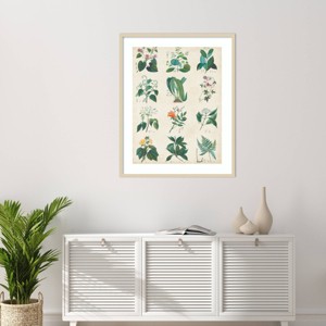 Amanti Art Botanical Schema II by Vision Studio Wood Framed Wall Art Print - 1 of 4