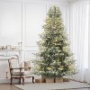 Pre-Lit Slim Aspen Fir Artificial Christmas Tree with 200 UL Clear Lights, Realistic Pinecones & Berries, Hinged Branches, Metal Stand - 3 of 4