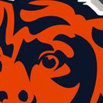 chicago bears