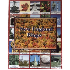 Lucy Hammett New England Bingo 6 Picture Boards, 42 Informative Cards & Bingo Chips Fun for All Ages - 1 of 1