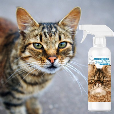The Blissful Cat Blissfully Fresh Face Wash