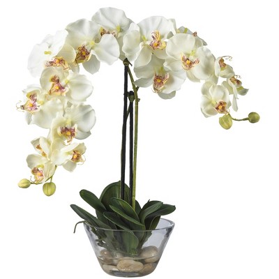 Nearly Natural Phalaenopsis with Glass Vase Silk Flower Arrangement, White