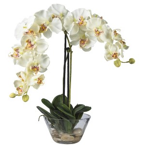 Nearly Natural 18-in Phalaenopsis with Glass Vase Artificial Flower Arrangement, White - 1 of 2