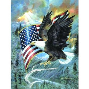 Sunsout American Eagle 500 pc Fourth of July Jigsaw Puzzle CL59012 - 1 of 4