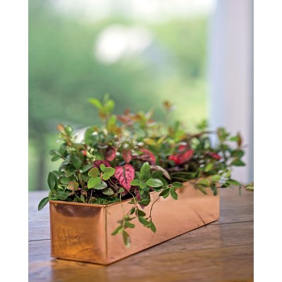 Tall Rectangular Copper Plant Tray, 18" x 5" x 4" - GARDENER'S SUPPLY CO.