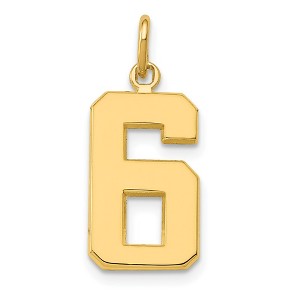 Black Bow Jewelry 14k Yellow Gold, Athletic Collection Medium Polished Number 6 Pendant - 1 of 4
