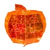 Kurt Adler 6.5-Inch 100-Light Orange Micro LED Holographic Jack-O-Lantern - 2 of 4
