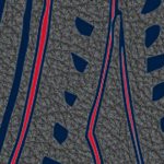 columbus blue jackets