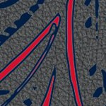 columbus blue jackets