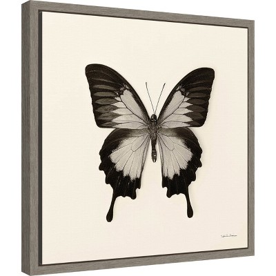 Amanti Art Butterfly III BnW by Debra Van Swearingen Canvas Wall Art Print Framed 16-in. x 16-in.