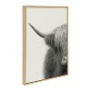 Kate and Laurel Sylvie Hey Dude Highland Cow Crop Framed Canvas by The Creative Bunch Studio - image 2 of 4