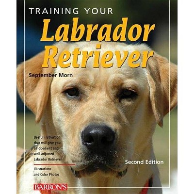 Training Your Labrador Retriever - (Training Your Dog) 2nd Edition by  September Morn (Paperback)