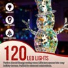 Angel Sar 4FT Lighted Iridescent Snowman, Pre-lit Christmas Decor with 100 Warm White LED Lights for Indoor Outdoor - 4 of 4