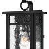 Quoizel Lighting Moira 1 - Light Sconce in  Earth Black - 4 of 4