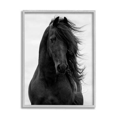 Stupell Industries Black Stallion Horse Portrait Soft Grey Sky Photography
