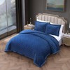 Bebejan 3 Piece Velvet Comforter Set - 4 of 4