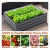 TUYOHW Metal Raised Garden Bed,Galvanized Steel Planter Box for Vegetables Herbs Flowers,Rust-Proof Outdoor Elevated Planting Bed,Black - 2 of 4
