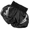 Venum Gladiator 3.0 Muay Thai Shorts - 2 of 4