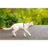 PetSafe Come with Me Kitty and Bungee Adjustable Leash Cat Harness - Blue - 4 of 4